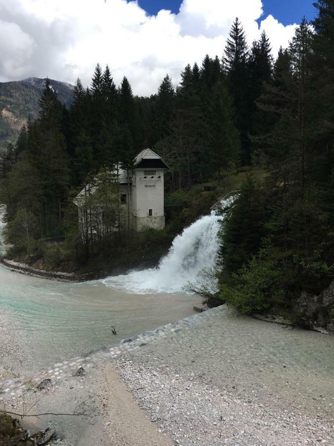 Apartments Vita Kranjska Gora Exterior photo