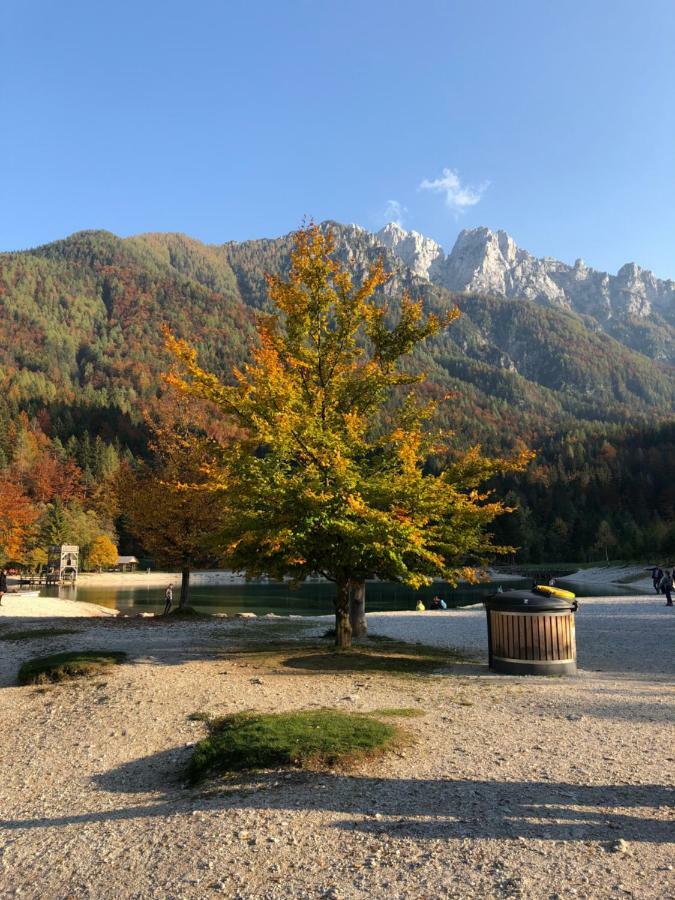 Apartments Vita Kranjska Gora Exterior photo